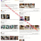 Tenis de Corrida Atléticos Femininos - Leves e Respiráveis com Plataforma Acolchoada, Fechamento em Cadarço, Conforto para o Dia Todo no Ginásio, Caminhadas e Uso Diário - Design Baixo Branco & Preto por ZOSIVC, Calçados Esportivos Casuais, Estilo Moderno e Tração Durável