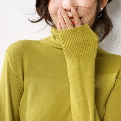 Elegant Turtleneck Slim Fit Women's Knit Sweater