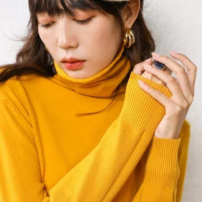 Elegant Turtleneck Slim Fit Women's Knit Sweater